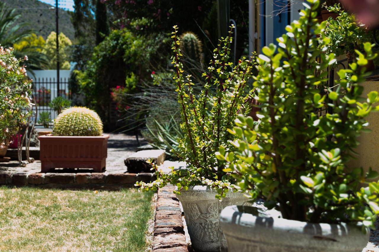 Somerset Stables Graaff-Reinet エクステリア 写真